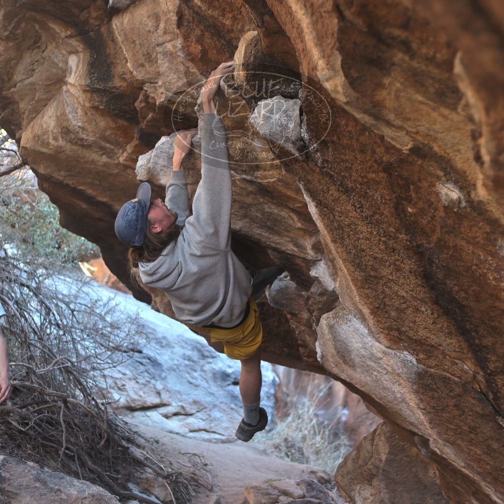 

Filename: SRM_20220227_1639010.jpg
Aperture: f/2.8
Shutter Speed: 1/500
Body: Canon EOS R6
Lens: Canon EF 50mm f/1.8 II