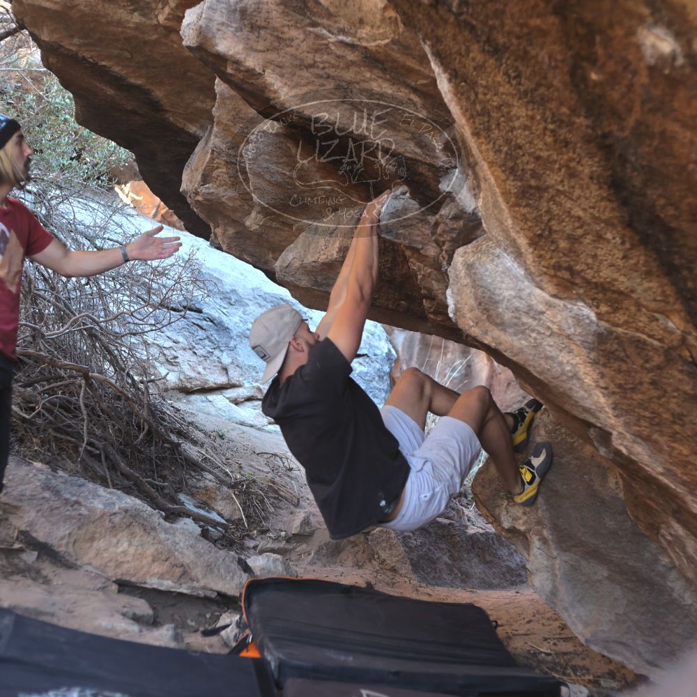 

Filename: SRM_20220227_1641320.jpg
Aperture: f/2.8
Shutter Speed: 1/500
Body: Canon EOS R6
Lens: Canon EF 50mm f/1.8 II