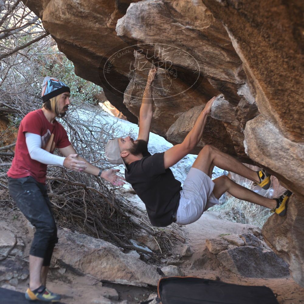 

Filename: SRM_20220227_1641380.jpg
Aperture: f/2.8
Shutter Speed: 1/500
Body: Canon EOS R6
Lens: Canon EF 50mm f/1.8 II