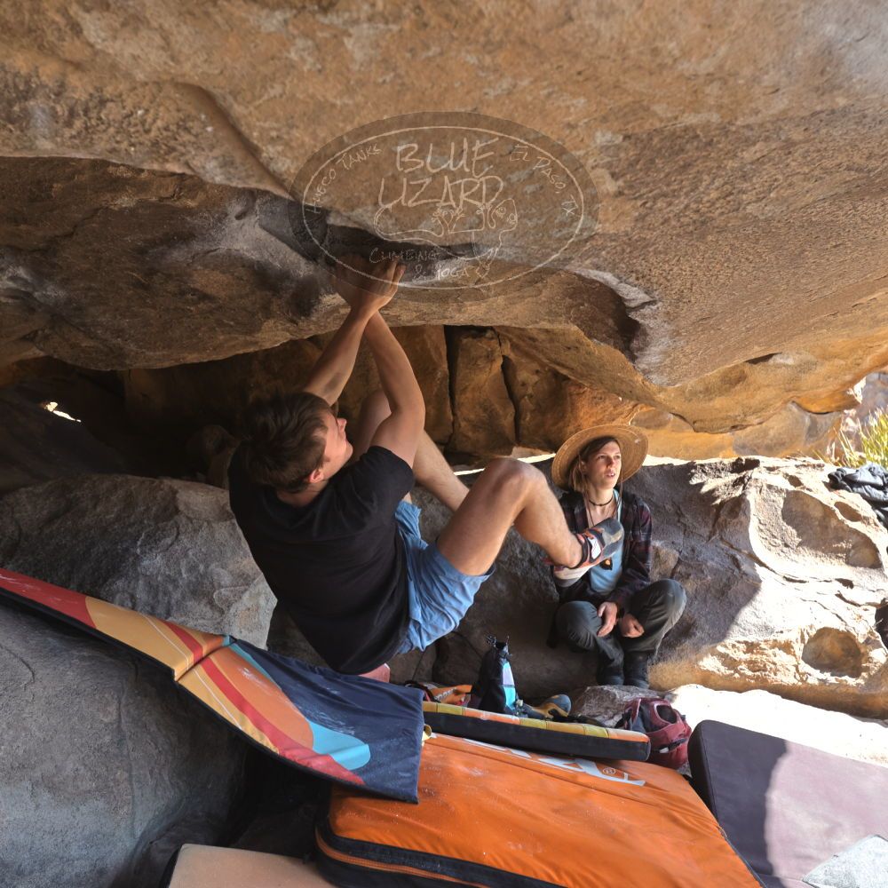 

Filename: SRM_20220227_0958150.jpg
Aperture: f/5.6
Shutter Speed: 1/320
Body: Canon EOS R6
Lens: Canon EF 16-35mm f/2.8 L