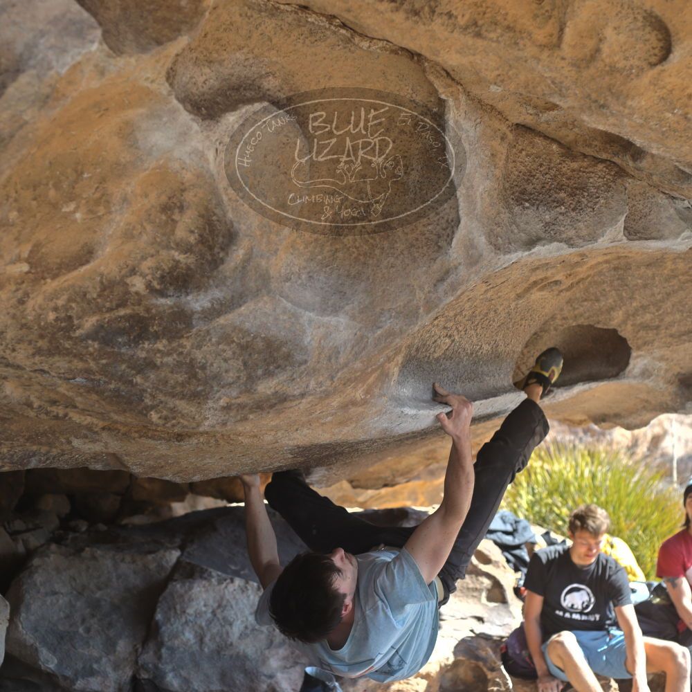 

Filename: SRM_20220227_1027540.jpg
Aperture: f/4.0
Shutter Speed: 1/400
Body: Canon EOS R6
Lens: Canon EF 50mm f/1.8 II