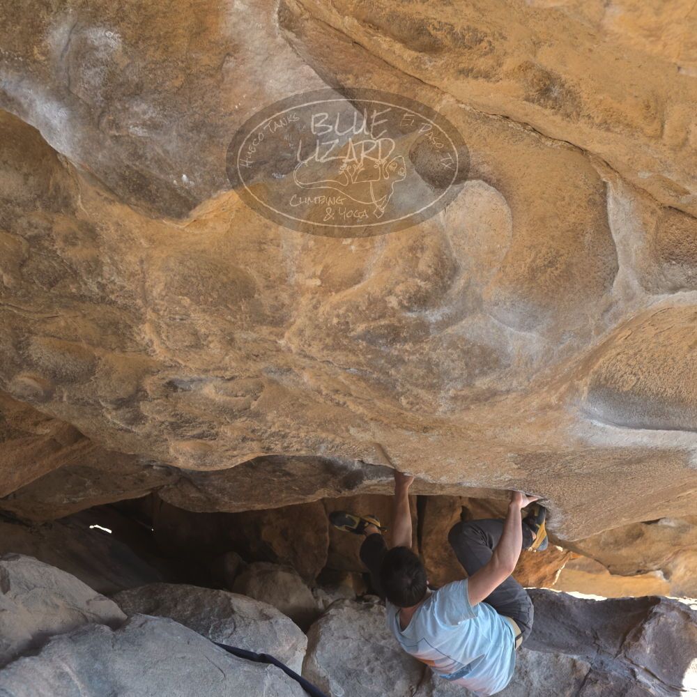 

Filename: SRM_20220227_1027400.jpg
Aperture: f/4.0
Shutter Speed: 1/400
Body: Canon EOS R6
Lens: Canon EF 50mm f/1.8 II