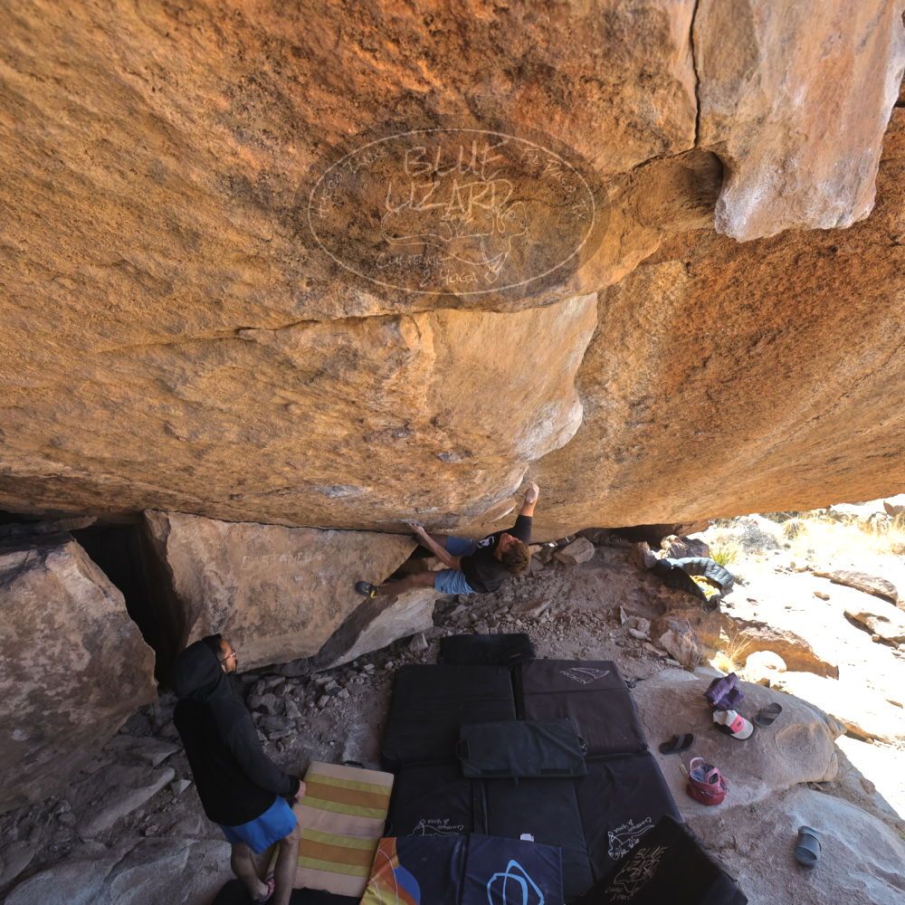 

Filename: SRM_20220227_1136350.jpg
Aperture: f/5.6
Shutter Speed: 1/400
Body: Canon EOS R6
Lens: Canon EF 16-35mm f/2.8 L