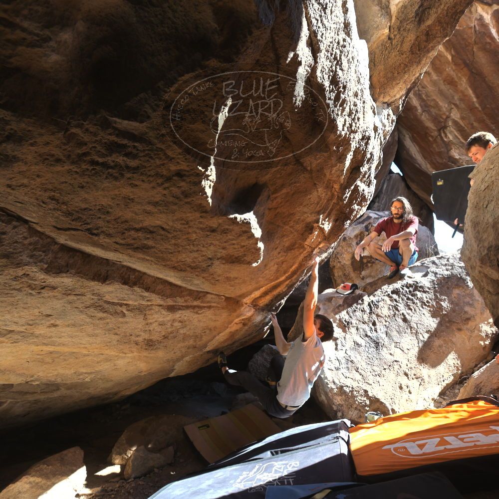 

Filename: SRM_20220227_1433580.jpg
Aperture: f/6.3
Shutter Speed: 1/500
Body: Canon EOS R6
Lens: Canon EF 16-35mm f/2.8 L