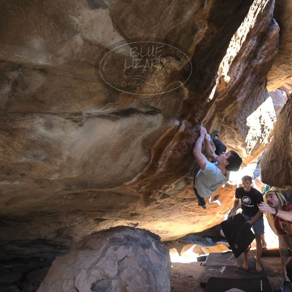 

Filename: SRM_20220227_1436010.jpg
Aperture: f/6.3
Shutter Speed: 1/500
Body: Canon EOS R6
Lens: Canon EF 16-35mm f/2.8 L