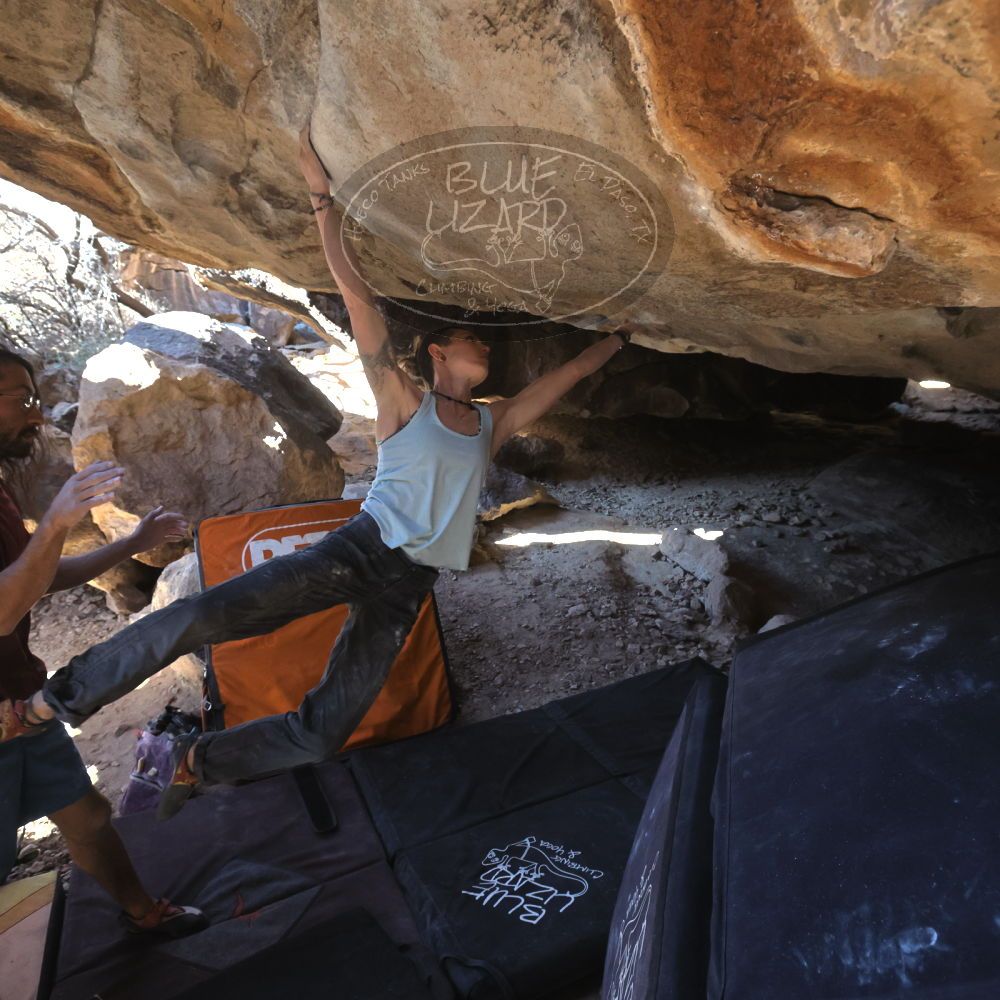 

Filename: SRM_20220227_1525101.jpg
Aperture: f/5.6
Shutter Speed: 1/500
Body: Canon EOS R6
Lens: Canon EF 16-35mm f/2.8 L