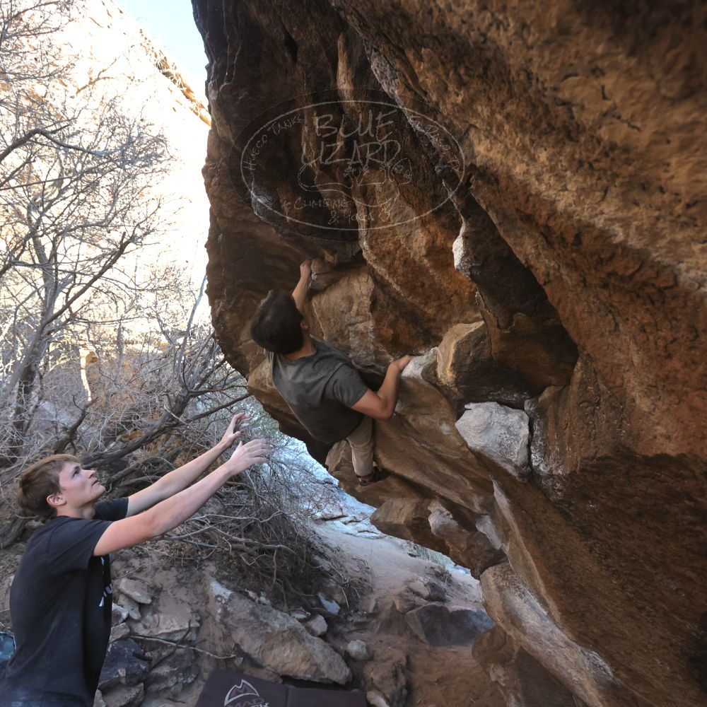 

Filename: SRM_20220227_1632460.jpg
Aperture: f/5.6
Shutter Speed: 1/500
Body: Canon EOS R6
Lens: Canon EF 16-35mm f/2.8 L