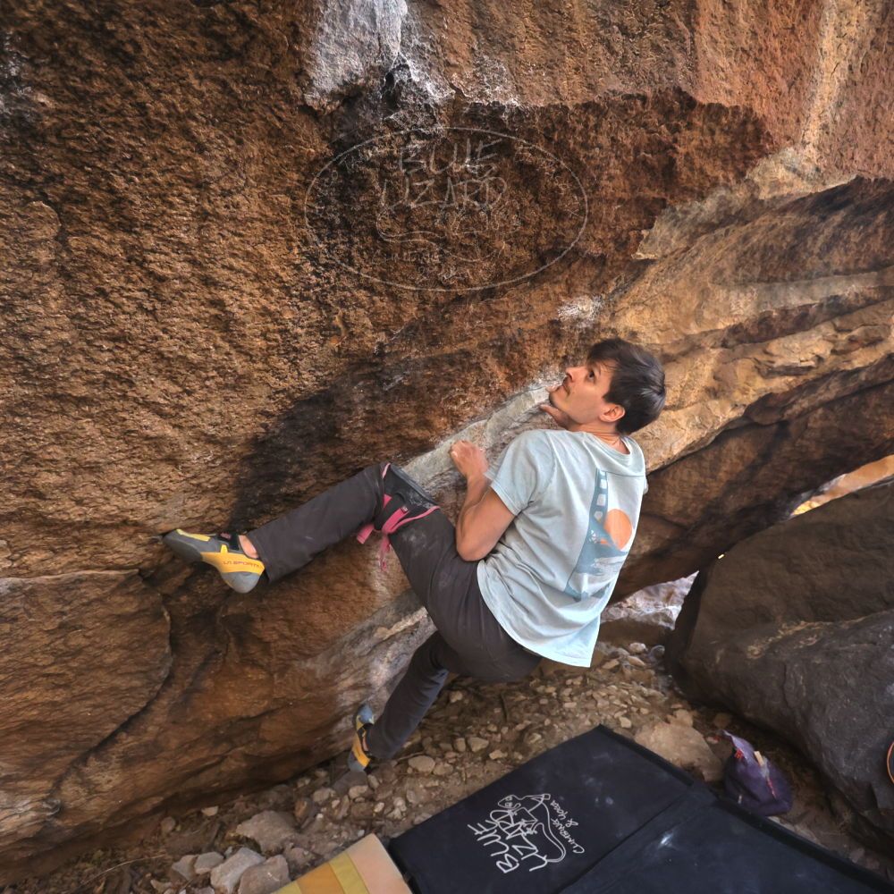 

Filename: SRM_20220227_1647110.jpg
Aperture: f/4.0
Shutter Speed: 1/500
Body: Canon EOS R6
Lens: Canon EF 16-35mm f/2.8 L