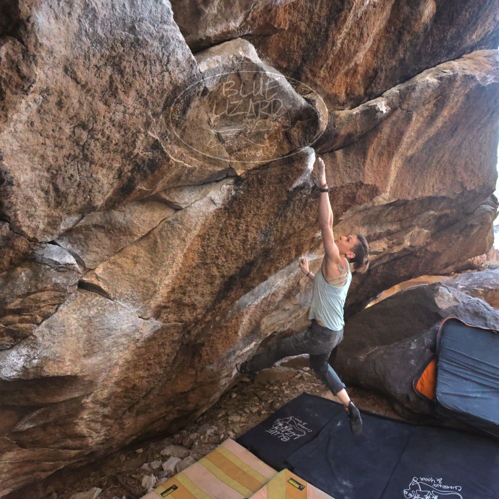 

Filename: SRM_20220227_1658510.jpg
Aperture: f/8.0
Shutter Speed: 1/500
Body: Canon EOS R6
Lens: Canon EF 16-35mm f/2.8 L