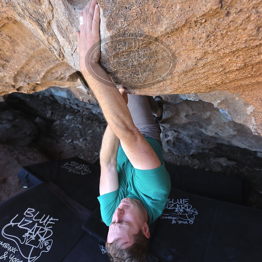 

Filename: SRM_20220304_1232070.jpg
Aperture: f/5.6
Shutter Speed: 1/250
Body: Canon EOS R6
Lens: Canon EF 16-35mm f/2.8 L