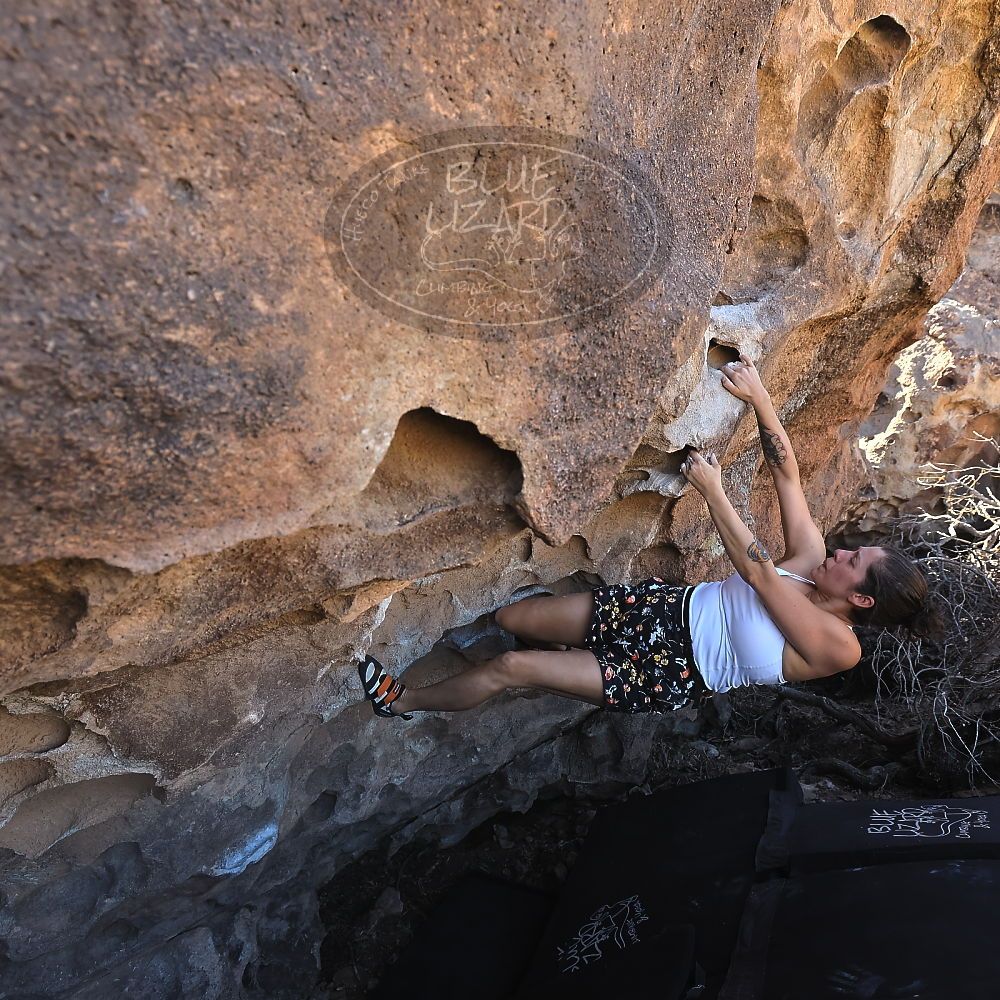 

Filename: SRM_20220304_1302090.jpg
Aperture: f/5.6
Shutter Speed: 1/250
Body: Canon EOS R6
Lens: Canon EF 16-35mm f/2.8 L