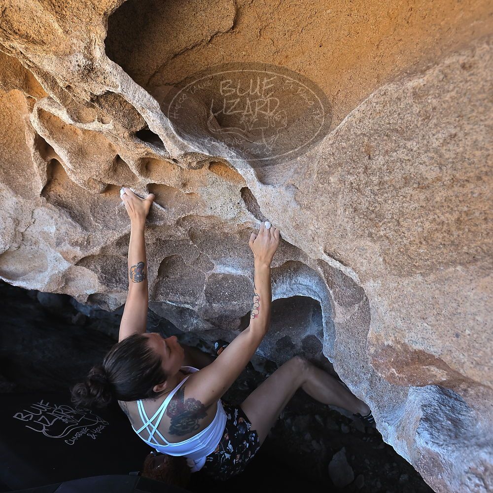 

Filename: SRM_20220304_1318140.jpg
Aperture: f/5.6
Shutter Speed: 1/250
Body: Canon EOS R6
Lens: Canon EF 16-35mm f/2.8 L