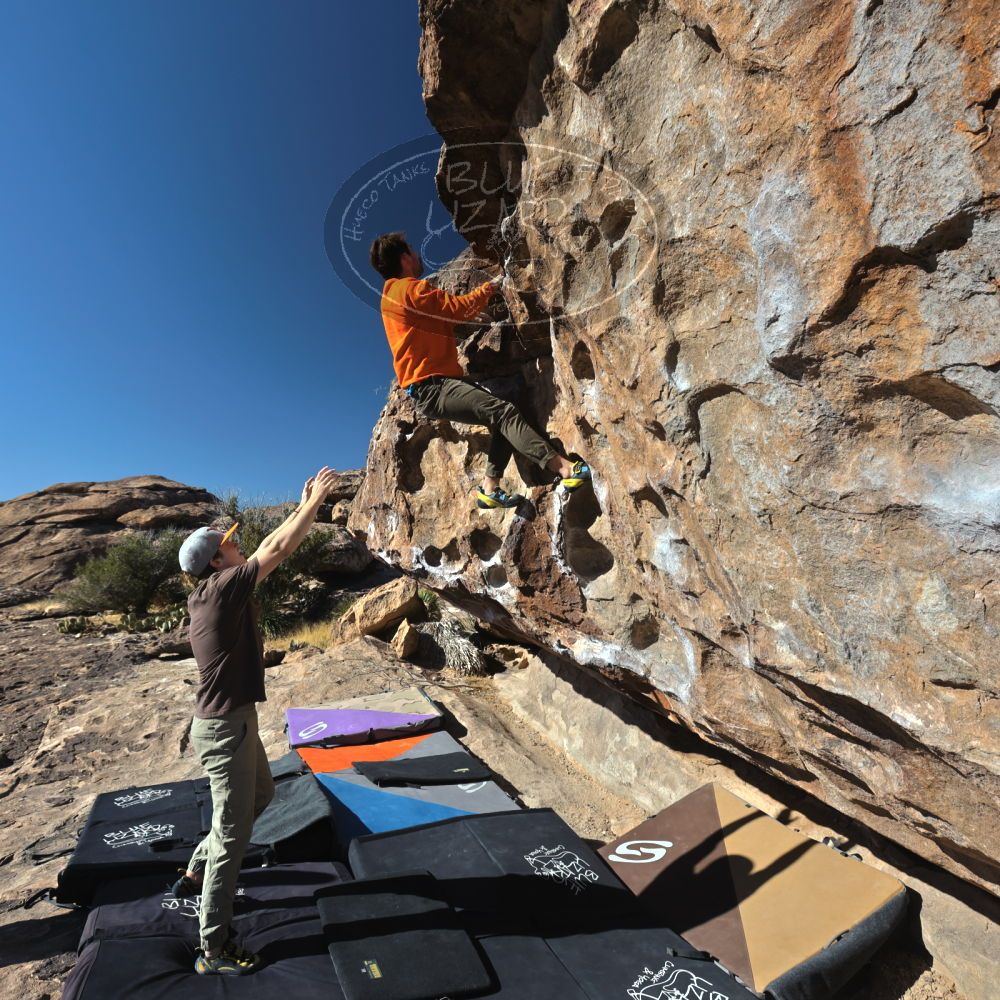 

Filename: SRM_20220305_0918110.jpg
Aperture: f/8.0
Shutter Speed: 1/500
Body: Canon EOS R6
Lens: Canon EF 16-35mm f/2.8 L