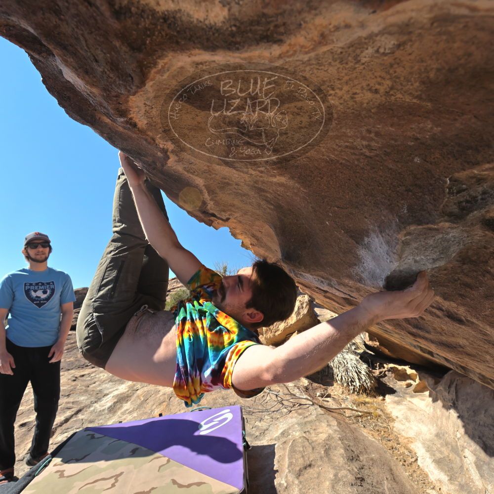 

Filename: SRM_20220305_0946290.jpg
Aperture: f/8.0
Shutter Speed: 1/500
Body: Canon EOS R6
Lens: Canon EF 16-35mm f/2.8 L