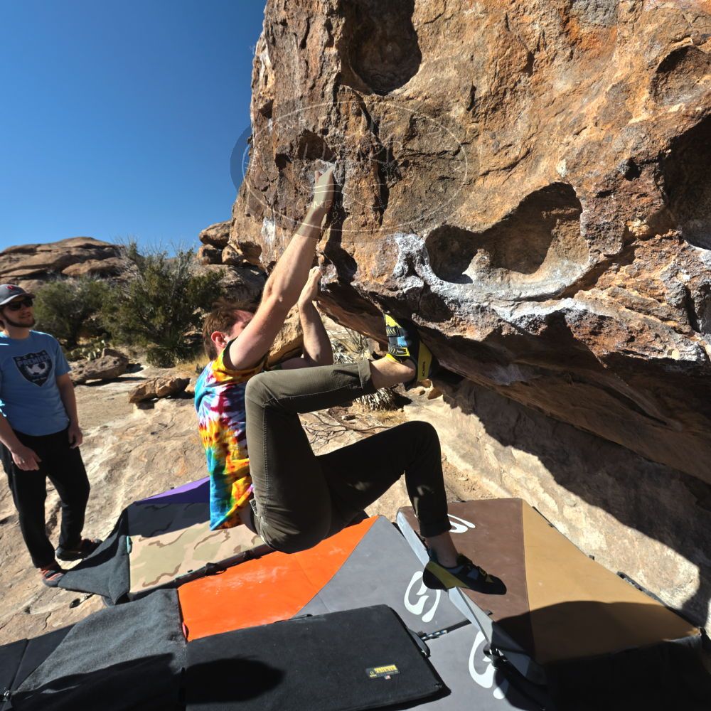 

Filename: SRM_20220305_0946370.jpg
Aperture: f/8.0
Shutter Speed: 1/500
Body: Canon EOS R6
Lens: Canon EF 16-35mm f/2.8 L