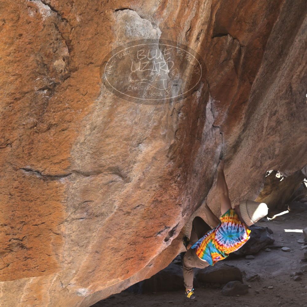 

Filename: SRM_20220305_1036140.jpg
Aperture: f/5.6
Shutter Speed: 1/400
Body: Canon EOS R6
Lens: Canon EF 16-35mm f/2.8 L