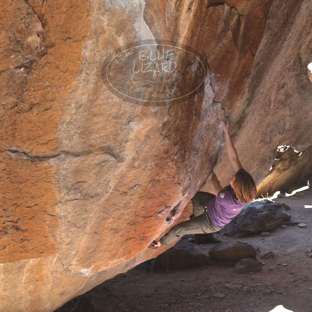 

Filename: SRM_20220305_1038050.jpg
Aperture: f/5.6
Shutter Speed: 1/250
Body: Canon EOS R6
Lens: Canon EF 16-35mm f/2.8 L