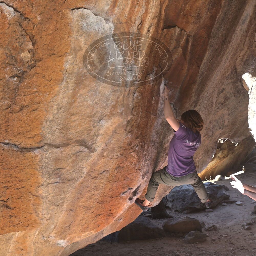 

Filename: SRM_20220305_1038100.jpg
Aperture: f/5.6
Shutter Speed: 1/250
Body: Canon EOS R6
Lens: Canon EF 16-35mm f/2.8 L