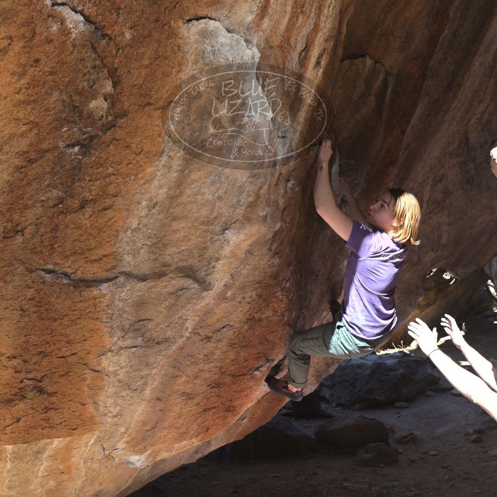 

Filename: SRM_20220305_1038170.jpg
Aperture: f/5.6
Shutter Speed: 1/250
Body: Canon EOS R6
Lens: Canon EF 16-35mm f/2.8 L