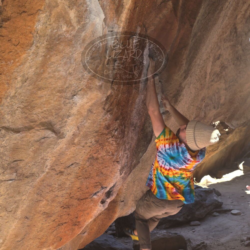 

Filename: SRM_20220305_1046040.jpg
Aperture: f/8.0
Shutter Speed: 1/250
Body: Canon EOS R6
Lens: Canon EF 50mm f/1.8 II