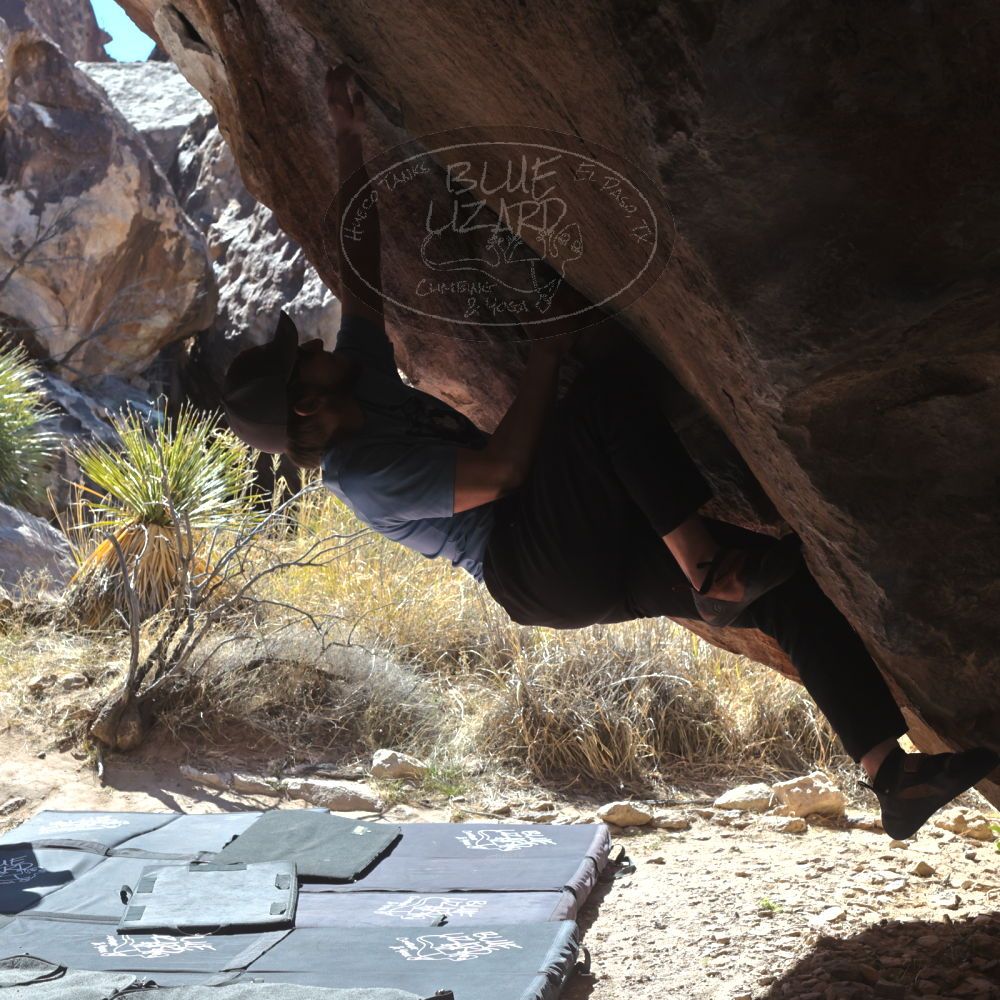 

Filename: SRM_20220305_1051410.jpg
Aperture: f/8.0
Shutter Speed: 1/500
Body: Canon EOS R6
Lens: Canon EF 50mm f/1.8 II