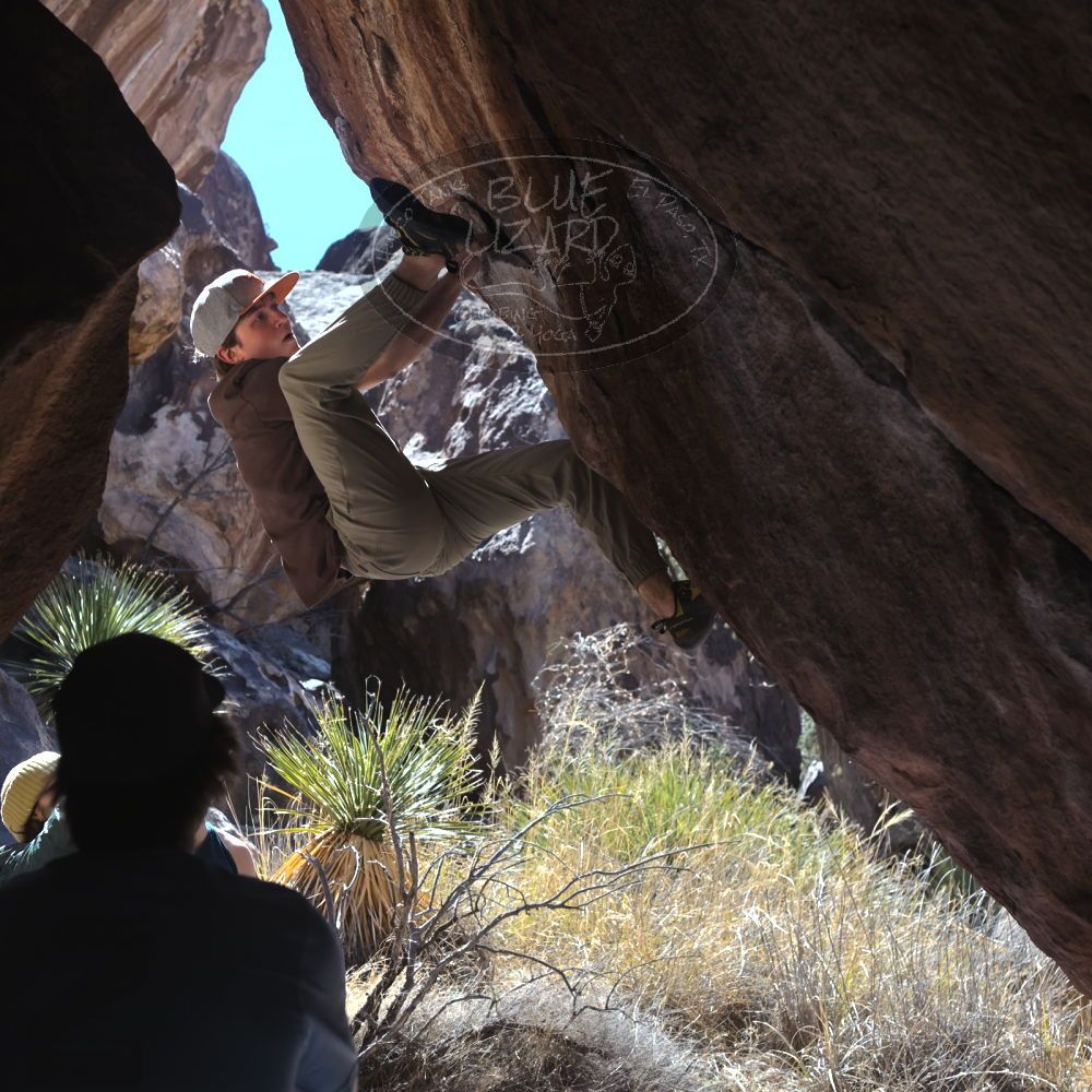 

Filename: SRM_20220305_1059000.jpg
Aperture: f/5.6
Shutter Speed: 1/500
Body: Canon EOS R6
Lens: Canon EF 50mm f/1.8 II