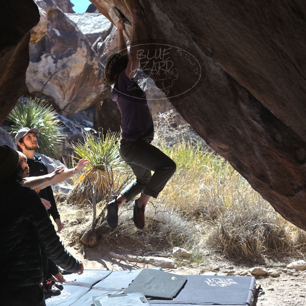 

Filename: SRM_20220305_1103340.jpg
Aperture: f/5.6
Shutter Speed: 1/500
Body: Canon EOS R6
Lens: Canon EF 50mm f/1.8 II