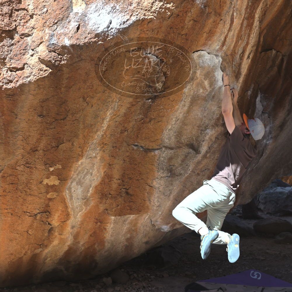 

Filename: SRM_20220305_1114270.jpg
Aperture: f/5.6
Shutter Speed: 1/500
Body: Canon EOS R6
Lens: Canon EF 16-35mm f/2.8 L