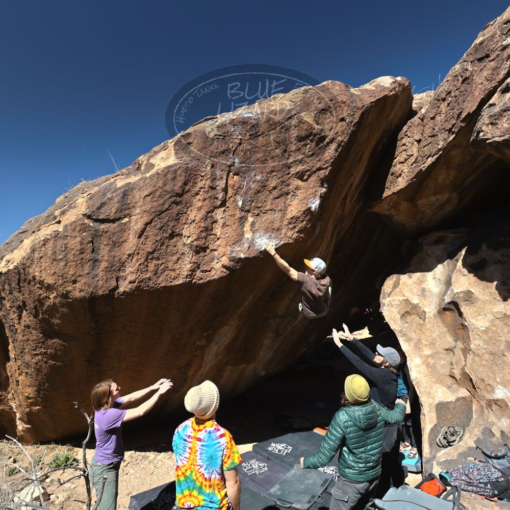 

Filename: SRM_20220305_1114410.jpg
Aperture: f/5.6
Shutter Speed: 1/500
Body: Canon EOS R6
Lens: Canon EF 16-35mm f/2.8 L