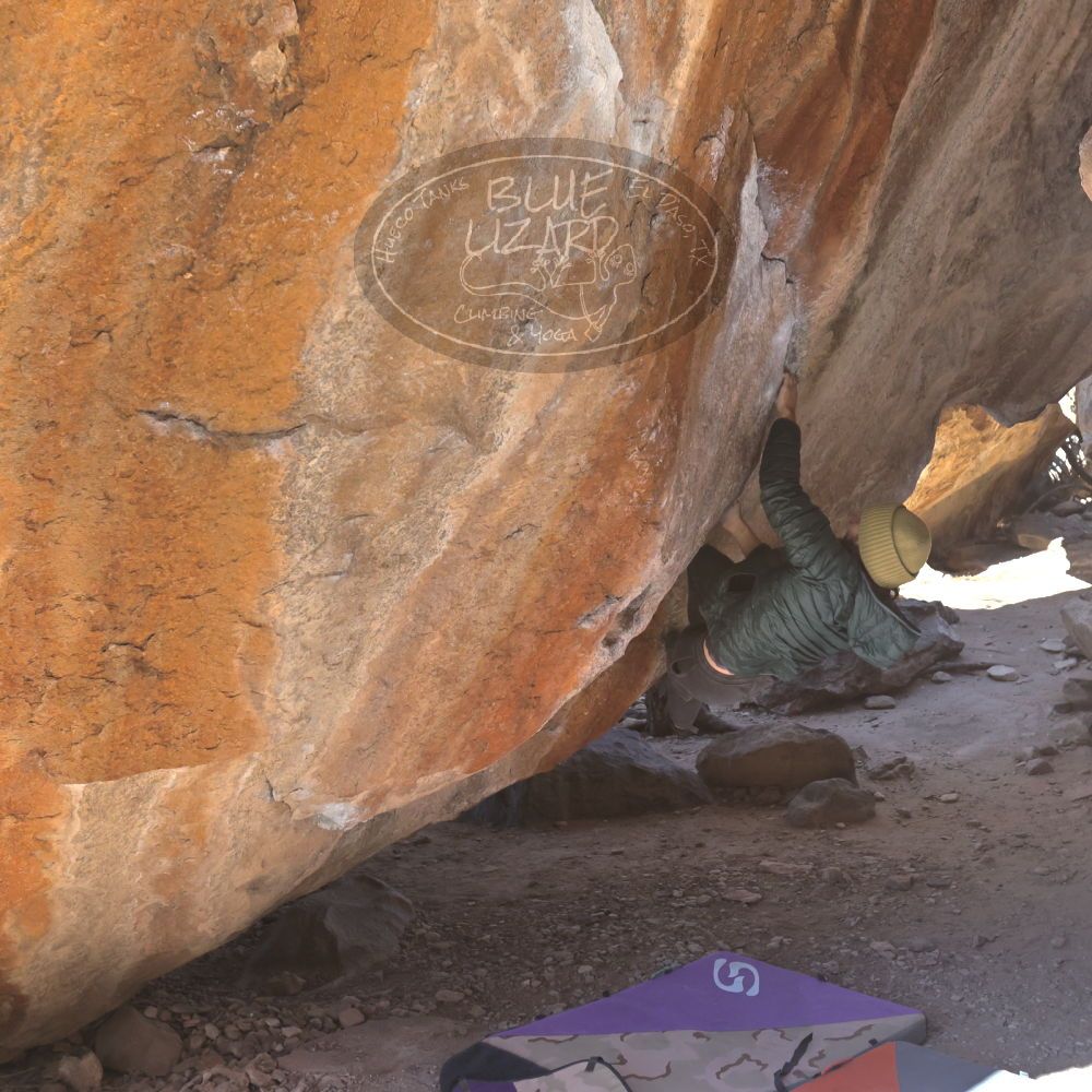 

Filename: SRM_20220305_1118040.jpg
Aperture: f/5.6
Shutter Speed: 1/500
Body: Canon EOS R6
Lens: Canon EF 16-35mm f/2.8 L