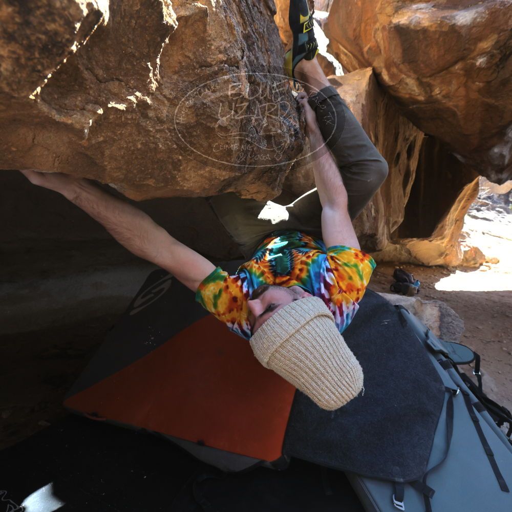 

Filename: SRM_20220305_1154070.jpg
Aperture: f/8.0
Shutter Speed: 1/500
Body: Canon EOS R6
Lens: Canon EF 16-35mm f/2.8 L