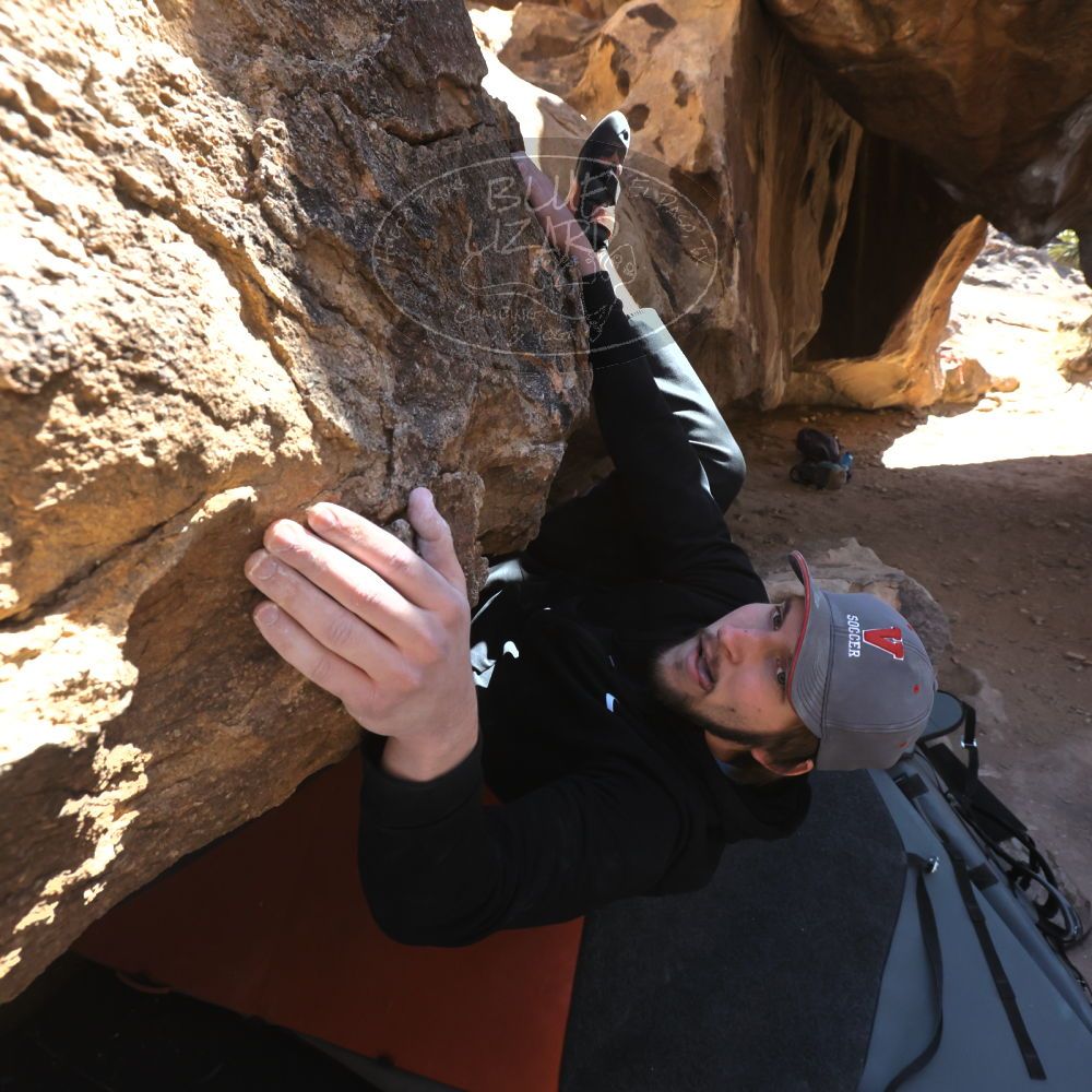 

Filename: SRM_20220305_1156120.jpg
Aperture: f/8.0
Shutter Speed: 1/500
Body: Canon EOS R6
Lens: Canon EF 16-35mm f/2.8 L