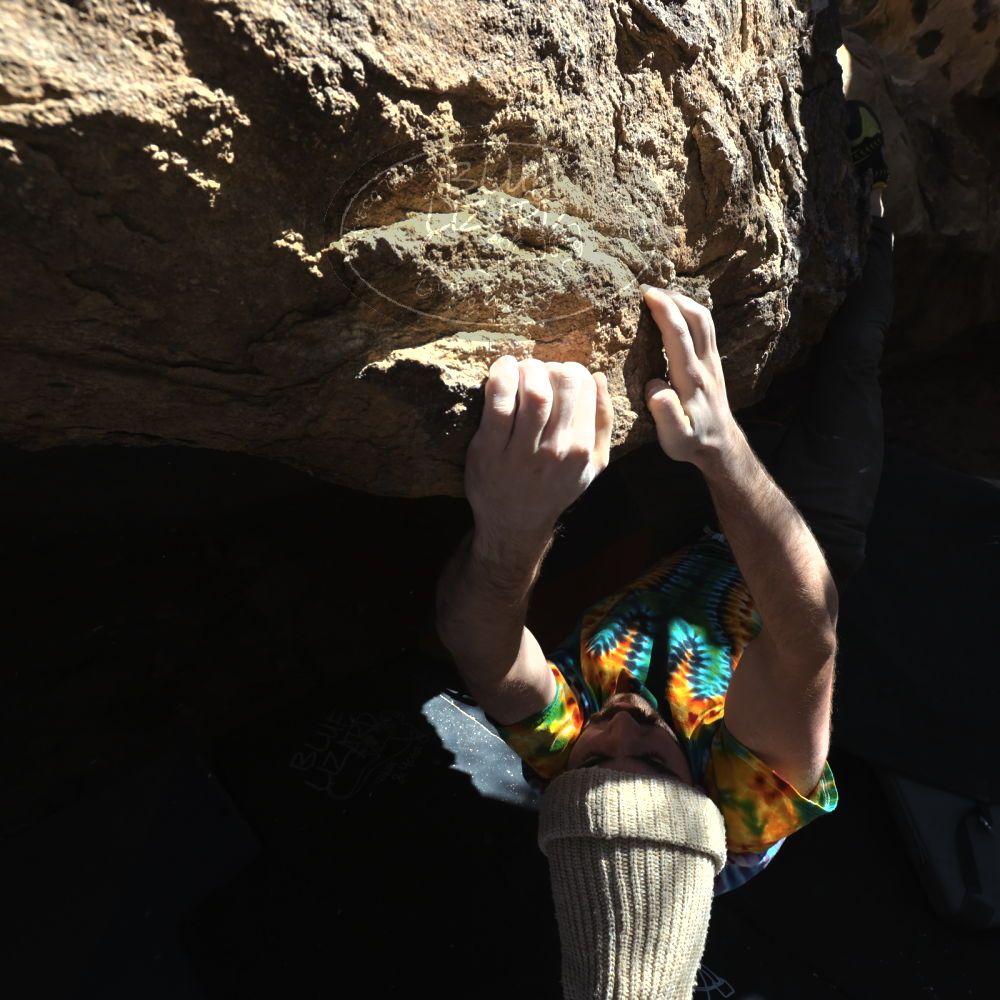 

Filename: SRM_20220305_1206201.jpg
Aperture: f/8.0
Shutter Speed: 1/500
Body: Canon EOS R6
Lens: Canon EF 16-35mm f/2.8 L