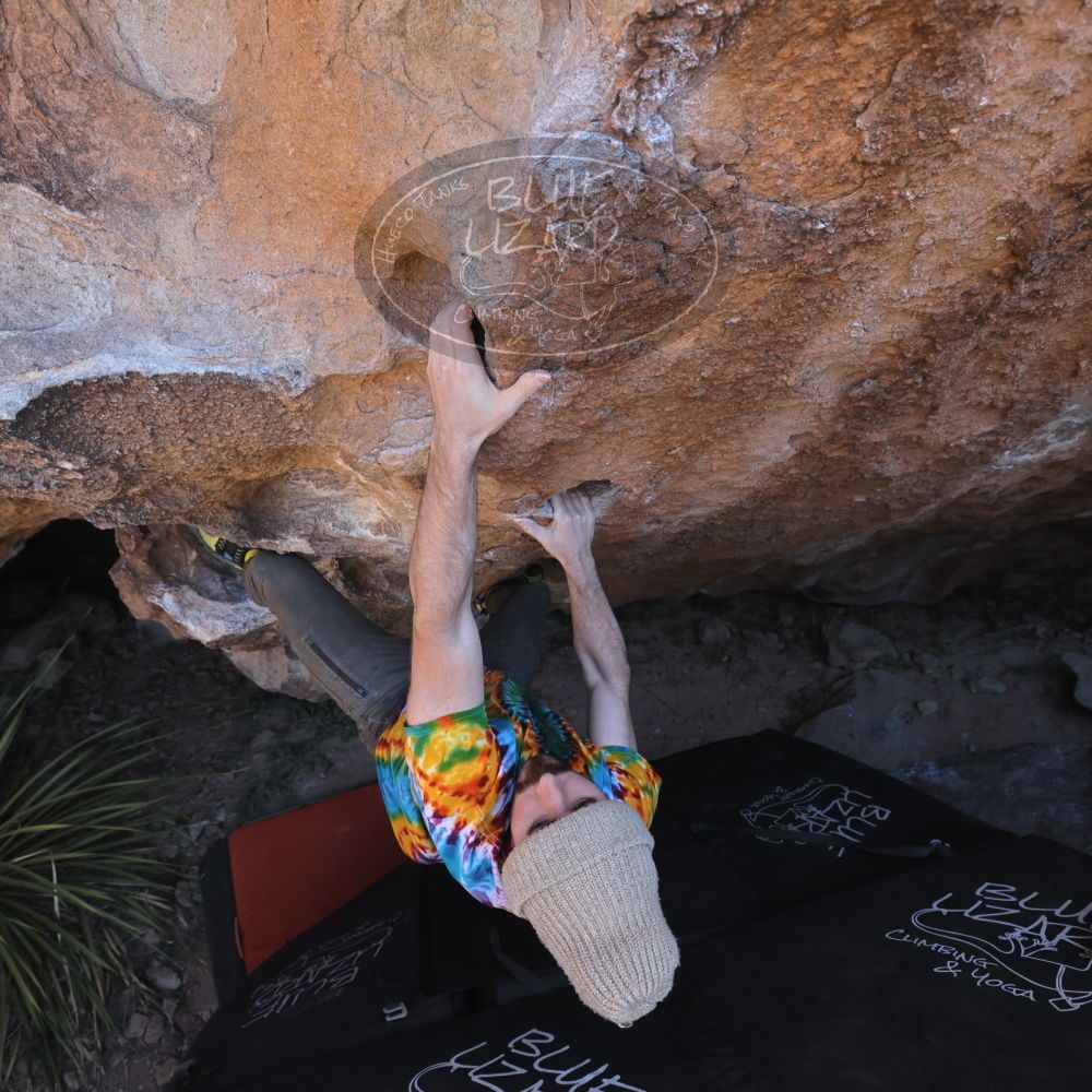 

Filename: SRM_20220305_1226080.jpg
Aperture: f/5.6
Shutter Speed: 1/500
Body: Canon EOS R6
Lens: Canon EF 16-35mm f/2.8 L