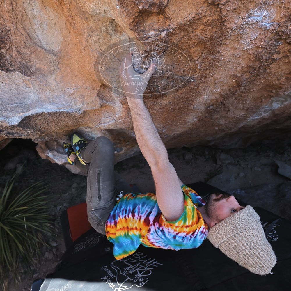 

Filename: SRM_20220305_1226130.jpg
Aperture: f/5.6
Shutter Speed: 1/500
Body: Canon EOS R6
Lens: Canon EF 16-35mm f/2.8 L