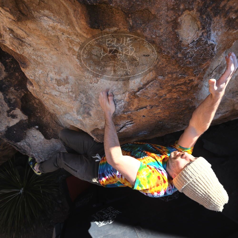 

Filename: SRM_20220305_1226520.jpg
Aperture: f/5.6
Shutter Speed: 1/500
Body: Canon EOS R6
Lens: Canon EF 16-35mm f/2.8 L