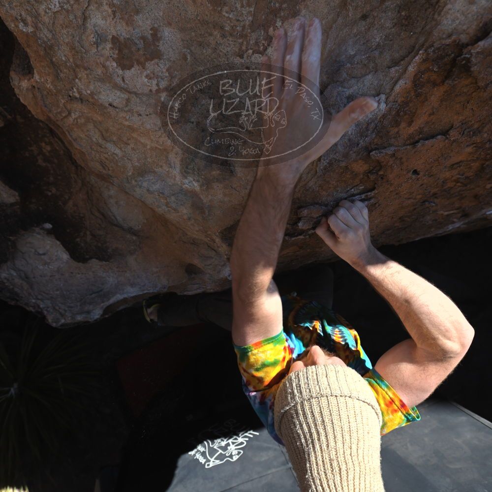 

Filename: SRM_20220305_1235310.jpg
Aperture: f/5.6
Shutter Speed: 1/500
Body: Canon EOS R6
Lens: Canon EF 16-35mm f/2.8 L