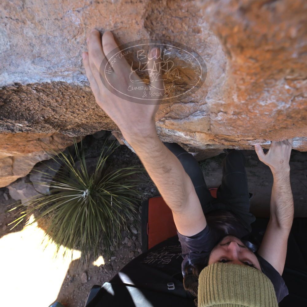 

Filename: SRM_20220305_1238461.jpg
Aperture: f/5.6
Shutter Speed: 1/500
Body: Canon EOS R6
Lens: Canon EF 16-35mm f/2.8 L