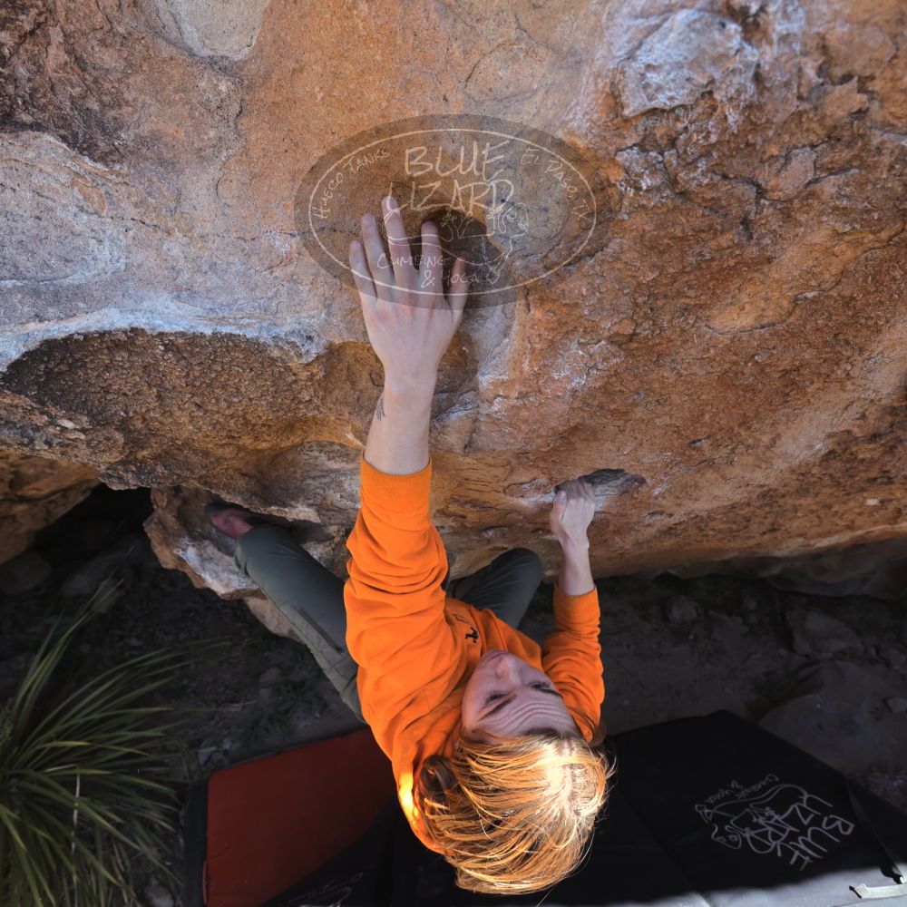 

Filename: SRM_20220305_1254320.jpg
Aperture: f/5.6
Shutter Speed: 1/500
Body: Canon EOS R6
Lens: Canon EF 16-35mm f/2.8 L