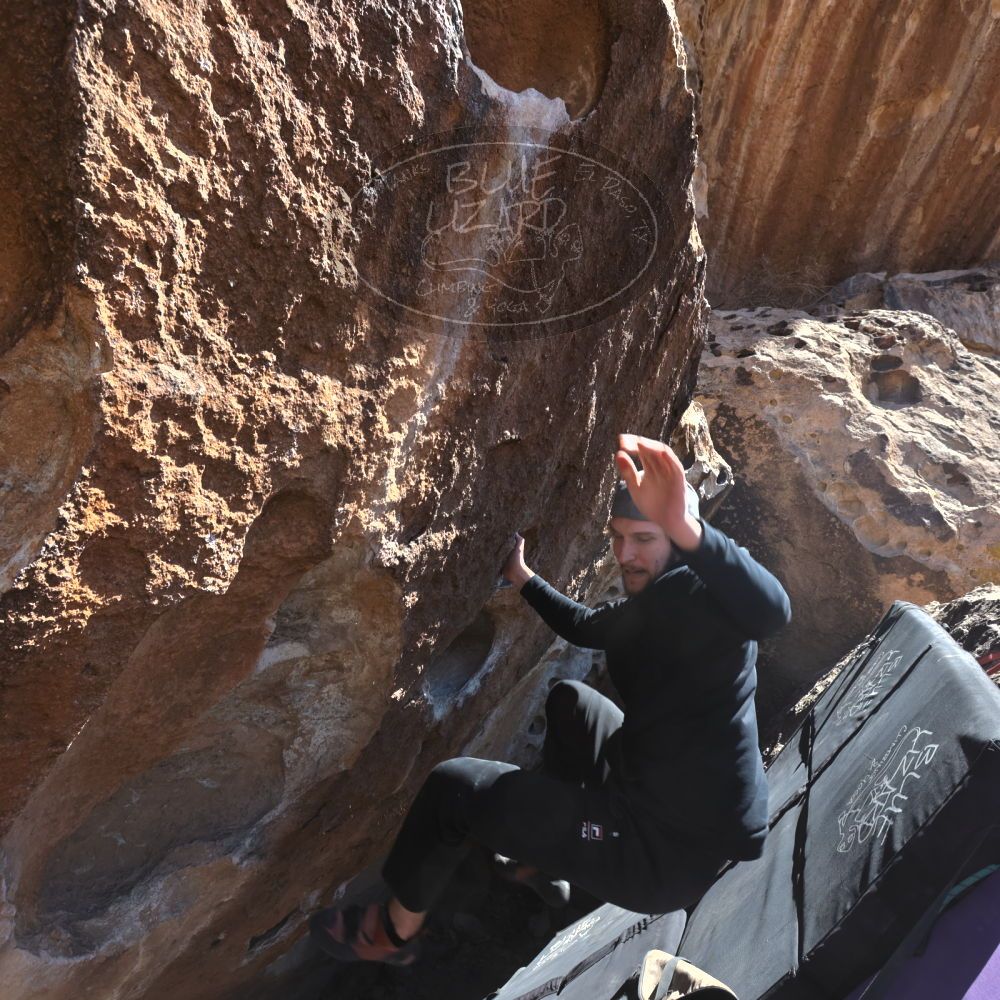 

Filename: SRM_20220305_1316430.jpg
Aperture: f/8.0
Shutter Speed: 1/500
Body: Canon EOS R6
Lens: Canon EF 16-35mm f/2.8 L