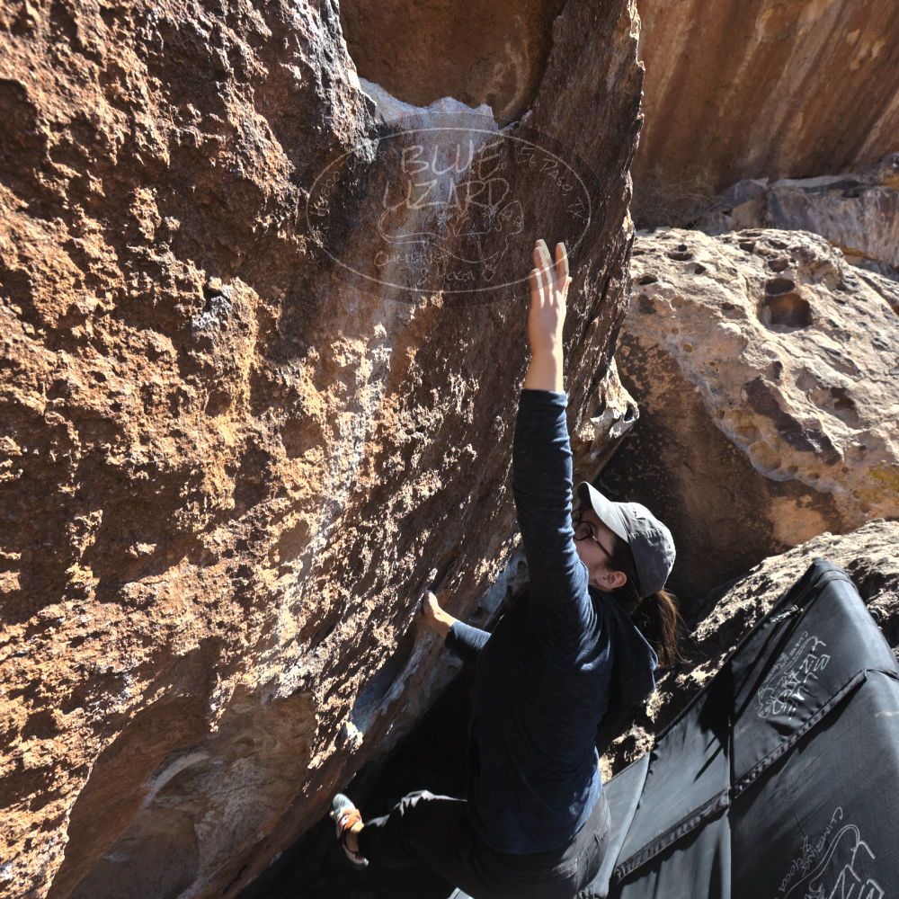 

Filename: SRM_20220305_1327490.jpg
Aperture: f/8.0
Shutter Speed: 1/500
Body: Canon EOS R6
Lens: Canon EF 16-35mm f/2.8 L