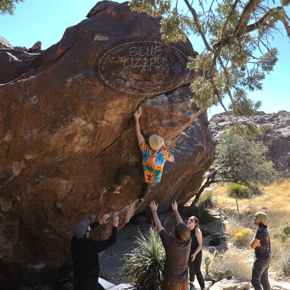 

Filename: SRM_20220305_1421490.jpg
Aperture: f/5.6
Shutter Speed: 1/500
Body: Canon EOS R6
Lens: Canon EF 16-35mm f/2.8 L