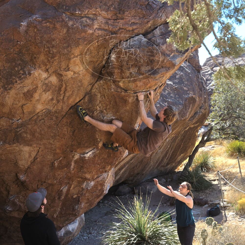 

Filename: SRM_20220305_1426520.jpg
Aperture: f/5.6
Shutter Speed: 1/500
Body: Canon EOS R6
Lens: Canon EF 16-35mm f/2.8 L