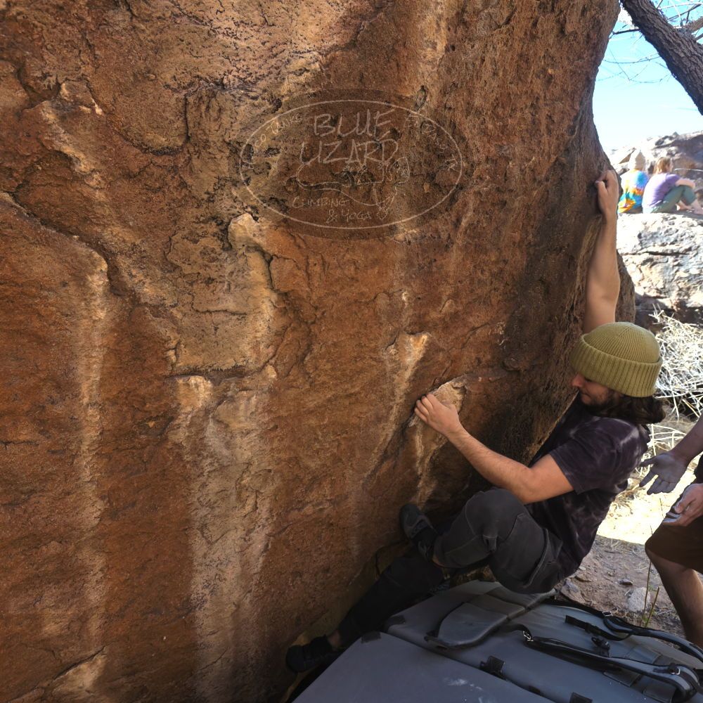 

Filename: SRM_20220305_1526500.jpg
Aperture: f/5.6
Shutter Speed: 1/250
Body: Canon EOS R6
Lens: Canon EF 16-35mm f/2.8 L