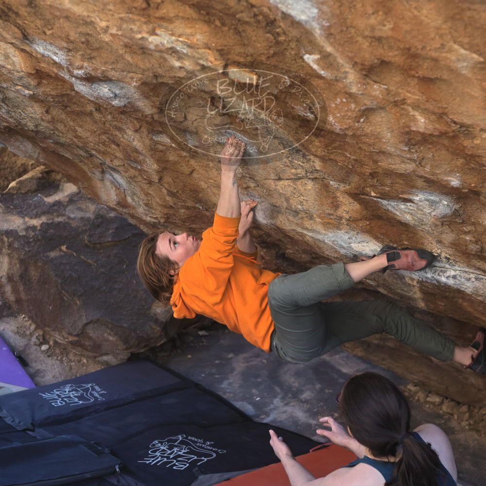 

Filename: SRM_20220305_1547231.jpg
Aperture: f/4.0
Shutter Speed: 1/250
Body: Canon EOS R6
Lens: Canon EF 50mm f/1.8 II