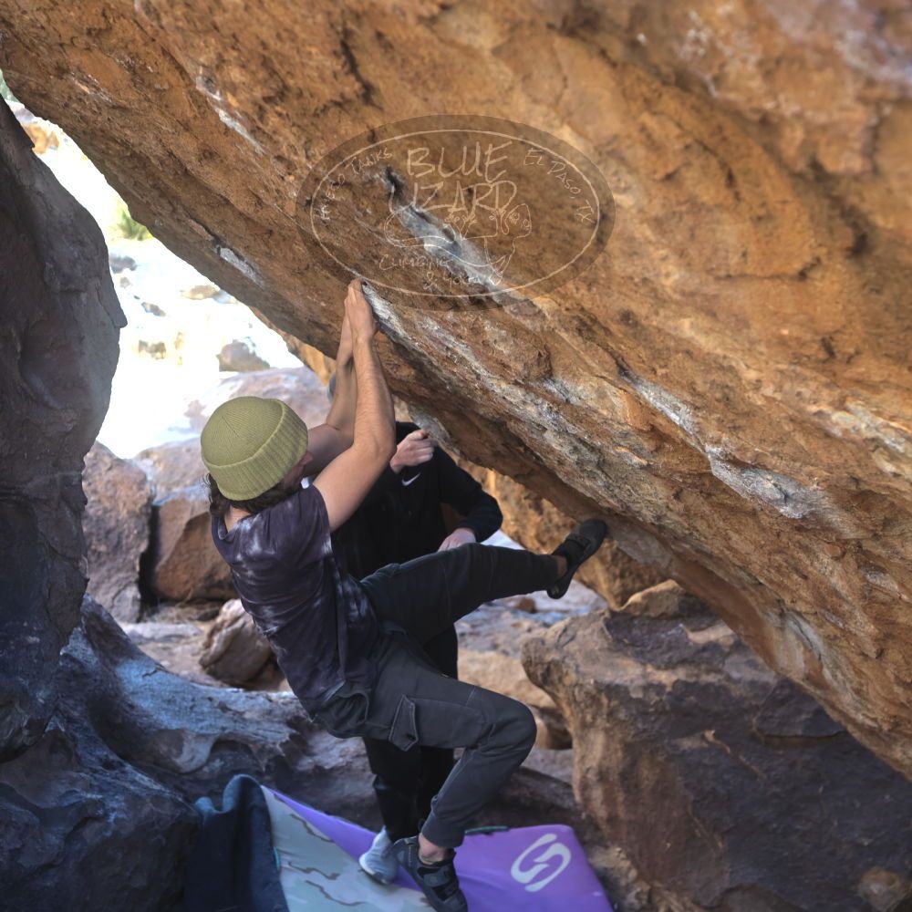 

Filename: SRM_20220305_1556310.jpg
Aperture: f/4.0
Shutter Speed: 1/200
Body: Canon EOS R6
Lens: Canon EF 50mm f/1.8 II