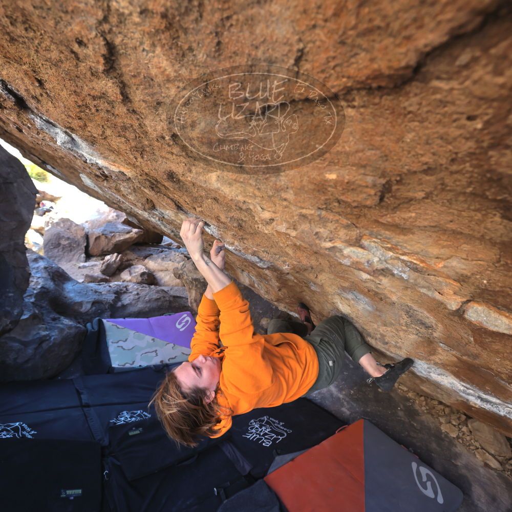 

Filename: SRM_20220305_1558060.jpg
Aperture: f/5.6
Shutter Speed: 1/250
Body: Canon EOS R6
Lens: Canon EF 16-35mm f/2.8 L