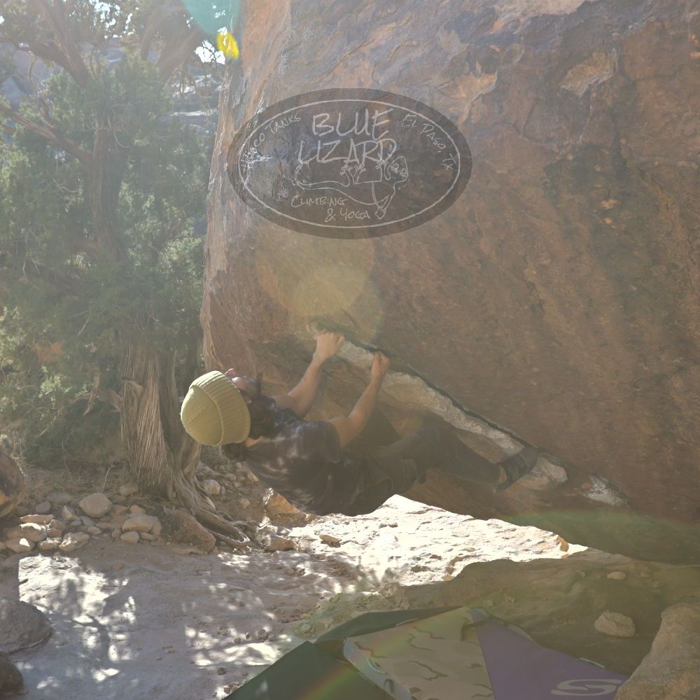 

Filename: SRM_20220305_1610040.jpg
Aperture: f/5.6
Shutter Speed: 1/250
Body: Canon EOS R6
Lens: Canon EF 16-35mm f/2.8 L