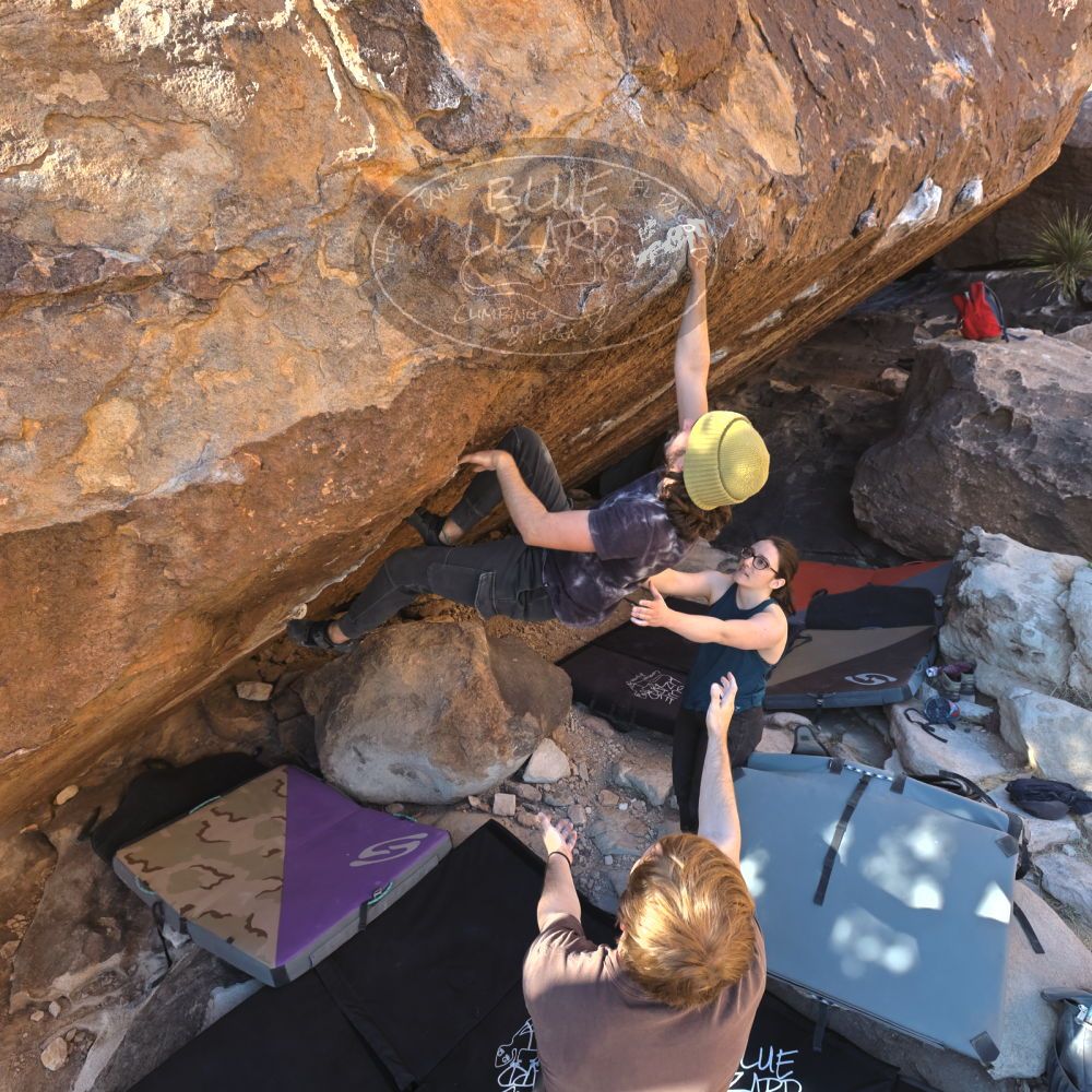 

Filename: SRM_20220305_1626200.jpg
Aperture: f/5.6
Shutter Speed: 1/250
Body: Canon EOS R6
Lens: Canon EF 16-35mm f/2.8 L