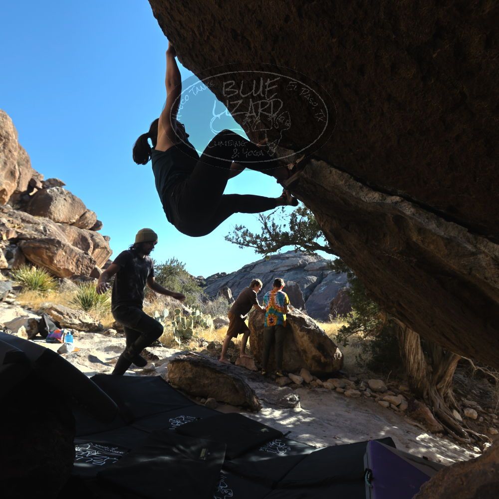 

Filename: SRM_20220305_1634110.jpg
Aperture: f/5.6
Shutter Speed: 1/250
Body: Canon EOS R6
Lens: Canon EF 16-35mm f/2.8 L